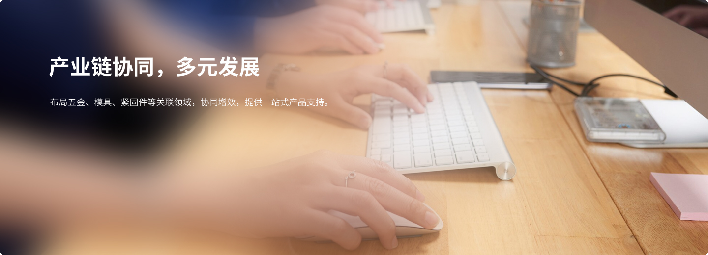 产业链协同，多元发展